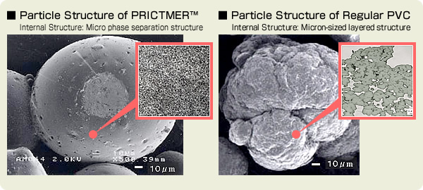 Figure: Particle Structure